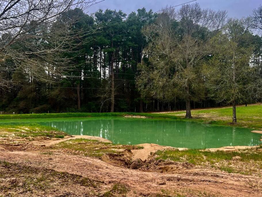 Hot Tub, Fire Ring And A Large Family Kitchen! Βίλα Navasota Εξωτερικό φωτογραφία